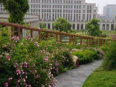 -江阴黄嘉喜来登酒店