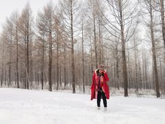 -塞罕坝国家级自然保护区