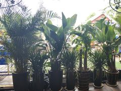 -中山路壹号传奇club·啤酒花园餐厅