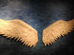 -新世界百货(顺义店)