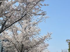 -宜兴龙背山森林公园