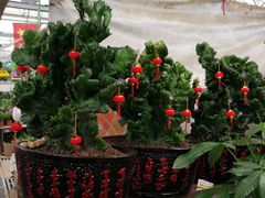 -秦美花卉(天朗·莱茵小城2期店)