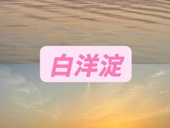 -白洋淀景区
