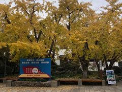 -东山雕花楼