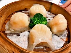 虾饺-悦雅居·老广州老味道(长湖店)
