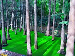 -云龙湖旅游景区