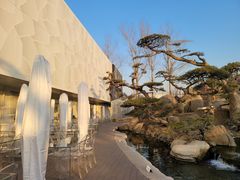 -罗红摄影艺术馆