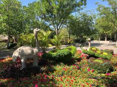 -石家庄市动物园