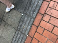 -黑色经典臭豆腐·湖南特产(太平街口店)