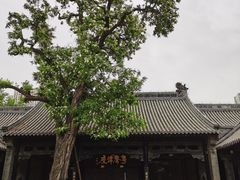 -天津戏剧博物馆