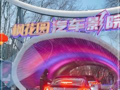 -枫花园汽车电影院(朝阳公园店)