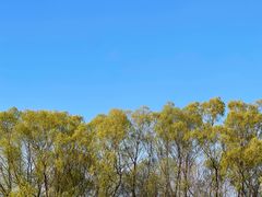 -蒲河岛湿地公园