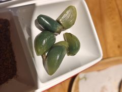 -石榴红了·非遗酥皮烤包子·新疆菜(瑞豪店)