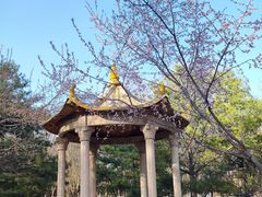 -仰山公园
