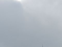 -紫峰大厦
