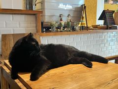 -萤火虫咖啡(后海店)