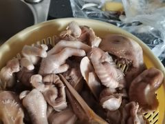 -广东省博物馆