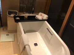 -上海崇明金茂凯悦酒店