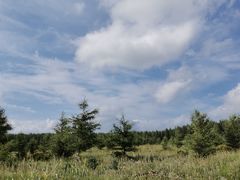 -塞罕坝国家级自然保护区