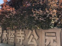 -木塔寺遗址生态公园