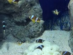 -福州罗源湾海洋世界旅游区