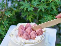 -壹点壹客·生日蛋糕(南山店)
