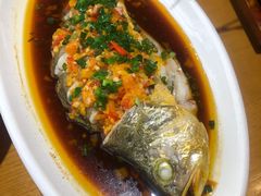 -大鸽饭(马王堆店)