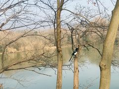 -钟山体育运动公园