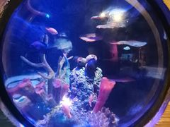 -沈阳海洋探索中心