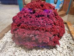 -多彩贵州城极地海洋世界