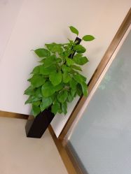 -杭州海亮医院 · 禾芸嘉医美中心