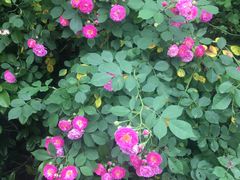 -合肥三国新城遗址公园