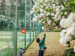 -杭州城北体育公园