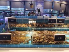 -渔纬港海鲜自助餐厅(湖里万达店)