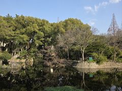 -叶家花园