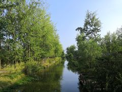 -合肥滨湖国家森林公园