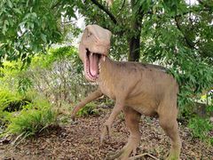 -自贡恐龙博物馆