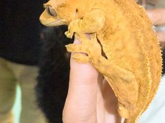 -藦茜花园宠物主题亲子互动体验馆(国顺东路店)