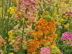 -中国天府农业博览园