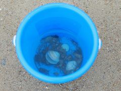 -厦门北海湾惠龙万达嘉华酒店