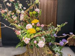 -隅焰·三生三味·手作川菜(金沙天街店)