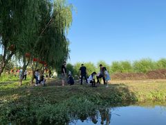 -同銮特种养殖场·龙虾垂钓