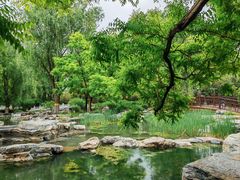 -莲花池公园