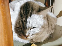 -H立方实景剧情密室(天河旗舰店)