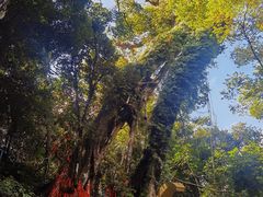 -七仙岭温泉国家森林公园