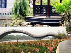 -山水茶艺馆·点心粤菜·30年老字号