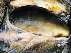 -新疆风味冷水鱼庄(友谊峰路店)