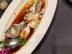 -艳阳天民俗村(公园路店)
