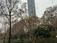 -沙河三洞古桥公园