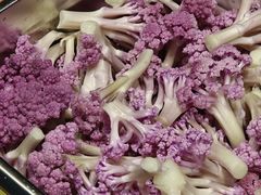 -一善里蔬意时光